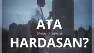 Ata Haqqinda Menali Status