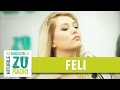 Feli & The TM Groove - Saraiman (Romica Puceanu) (Live la Marea Unire ZU)