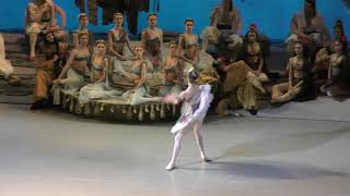 Daria Ionova as Gulnara (debut) variation and coda Le Corsaire