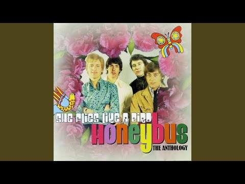 Honeybus — [Do I Figure] In Your Life