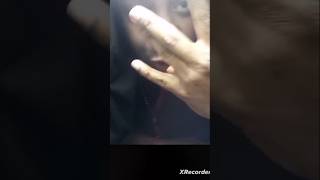 W&#39;S FREESTYLE PART 6 #viral#trending#rap#freestyle#music#musica#fypシ゚viral#fypシ#mtv#bet#106andpark