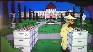Simpsons Bee Drones?