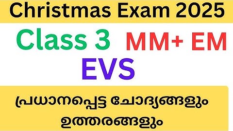 Class 3 EVS Christmas exam important questions and answers 2025| std 3 EVS exam second  #class3evs