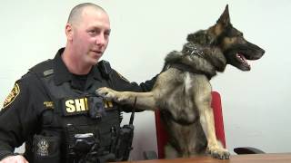 2016.12 Employee Spotlight: Nick Riegelmayer (Sheriff's K-9 Unit)