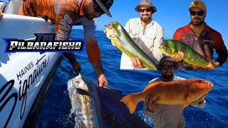 Download Lagu Offshore Madness! Mahi Mayhem, Reef Action \u0026 a Sailfish on jig!! MP3