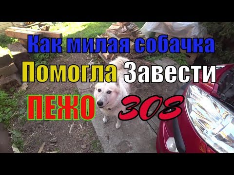 Если Пежо 308 не заводится!Автоэлектрика опять подвела.