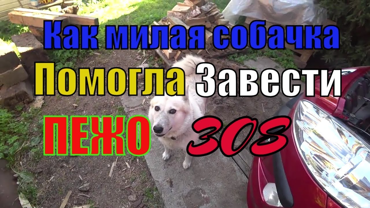 Если Пежо 308 не заводится!Автоэлектрика опять подвела. - YouTube