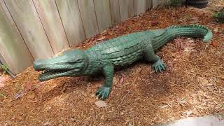Alligator Statue & Old Relics Found by Snake Hunters at Edisto Island Serpentarium