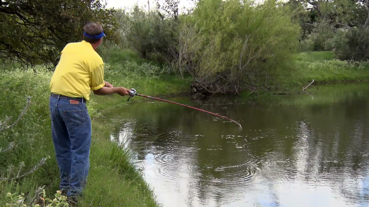 Fishing the SPRO Bronzeye Frog in a Farm Pond