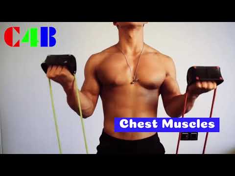 The Benefits of Multifunctional Chest Expander Rally Yoga Exercise #cheststretcher #muscleexpander
