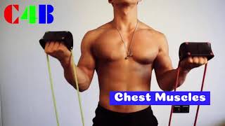 The Benefits of Multifunctional Chest Expander Rally Yoga Exercise #cheststretcher #muscleexpander