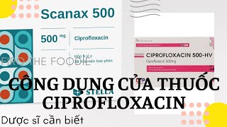 Công Dụng Của Thuốc Ciprofloxacin I Nhóm Quinolon I Dược Sĩ Cần Biết