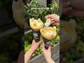 アロハクレープの【カスタードバナナクリーム】クレープ✨