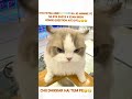 KYA FAYDA ASIE GOOGLE KA CHiii🤧😒🙄😏 #funny #shortvideo #trending #shortvideo #meme