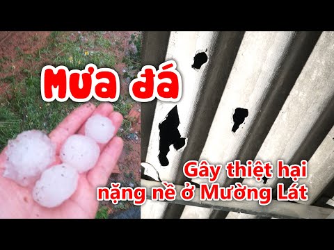Video Mưa đá và gió lốc gây thiệt hại nặng nề ở Mường Lát - youtube