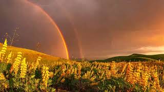 Enchanting Timelapse Captures Double Rainbow Forming in Bay Area