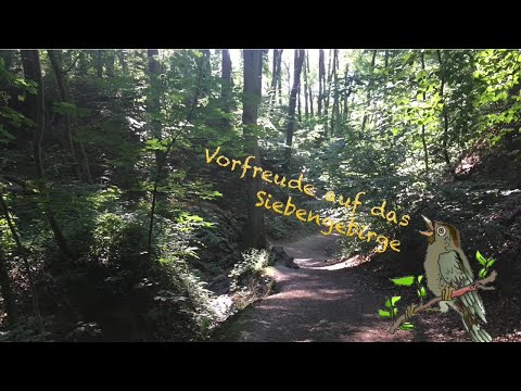 Vorfreude auf das Siebengebirge