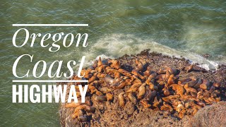 [4K] Pacific Coast Adventure: Seals, Devil's Churn, Cannon Beach & more | Oregon Road Trip