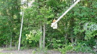 Townsend (Duke Energy contract) trims our transformer right-of-way before and after