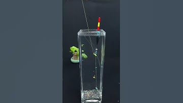 🎣 BỘ DÂY TRỤC KÈM PHAO – LẮP NHANH TRONG 1 PHÚT!📌 Dành cho anh em câu lure, câu hồ, câu sông