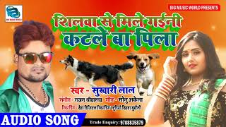 #Love_Speshal_Song_2020 | #Shilwa Se Mile Gaini Katle Ba Pila | #कटले बा पिला - Sukhari Lal