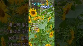 인생 #임영웅 #임영웅노래모음 #미스터트롯2 #music #트로트