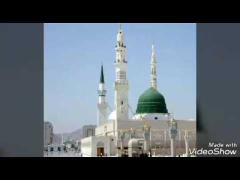 سوقنا عامر بالله شيخ مصطفى العلاوي جمع في Aspewit جانفي 2017 