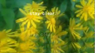 Clear  Whirr  
