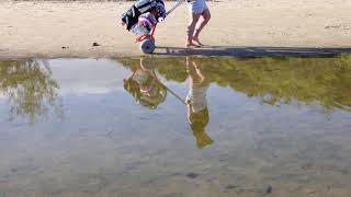 Wheeleez™ Beach Cart Folding Mini