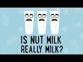 The Nut Milk Controversy: Taking A Look At The Dairy Confusion | Food 101 | Well Done