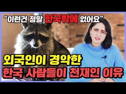 외국인이 생각하는 한국사람들이 정말 기발하다고 느낀 순간 TOP3