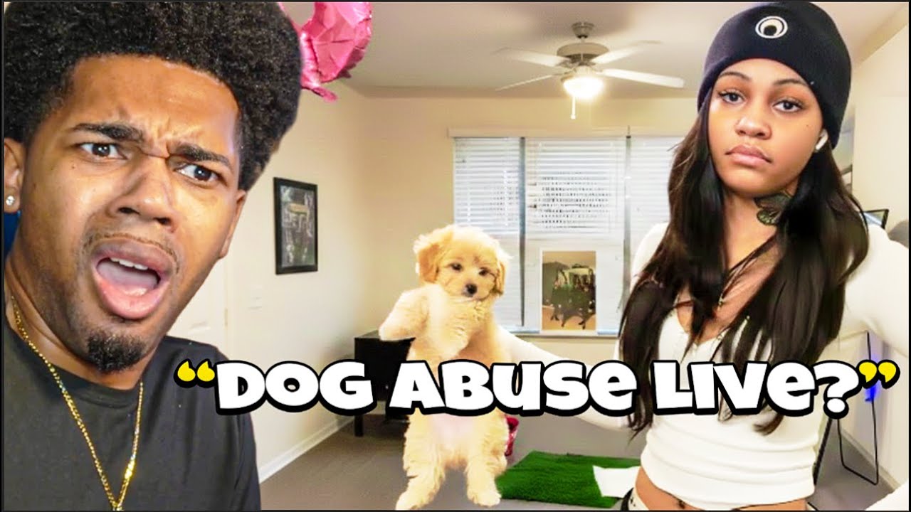 Aspen Kartier Arrested LIVE?  Caught Beating Dog on Camera