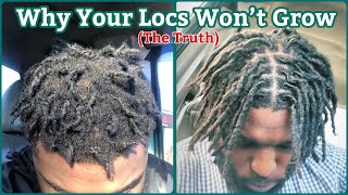Why Your DreadLocks Won’t Grow (The Truth)