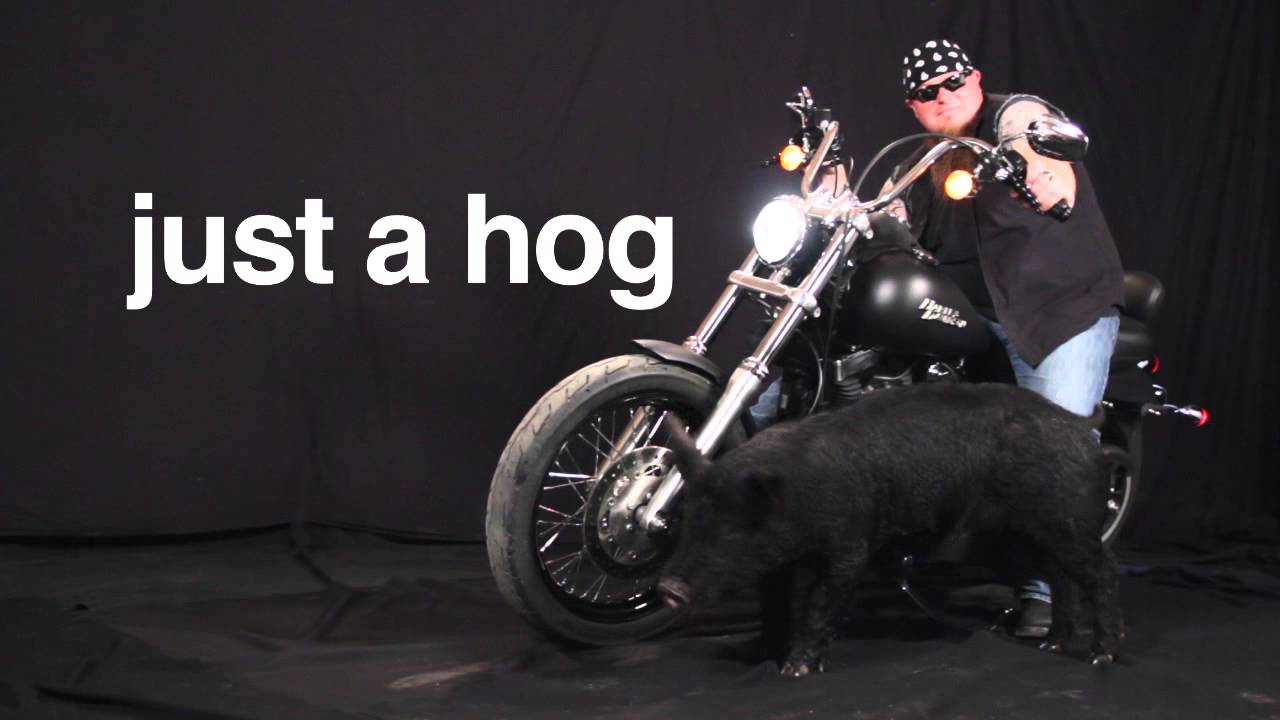 Imagine LiFe without Iron Iron Mining Association YouTube