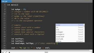 C++ Variables Lesson 04) Integers