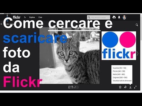 SCARICA FOTO BLOCCATE DA FLICKR