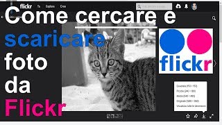 Cercare e scaricare foto da Flickr