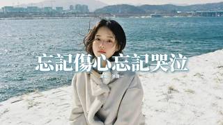 洋瀾一 - 忘記傷心忘記哭泣『你已經刪了和我的聯繫，我卻刪除不了所有記憶，不管是白天還是在夜裡，想起你眼淚就會不爭氣。』【動態歌詞MV】