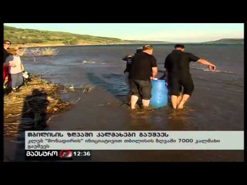 კალმახის გაშვება club-monadire.ge