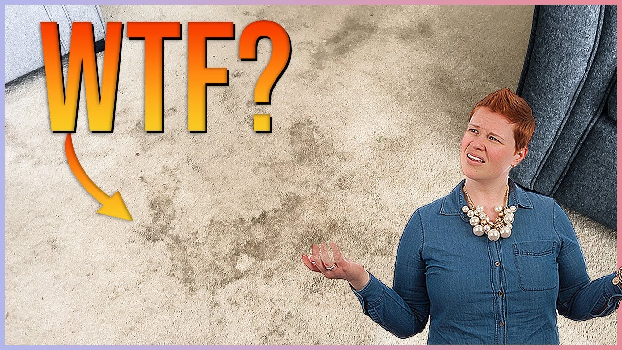 FILTHY Living Room Carpet Gets Deep Cleaned! Carpet Cleaning in 4K