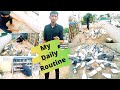 My Daily Routine😎 || Main Mere Kabootar 🕊Ki Dekh Bhal  Kaise Karta Hu🤩 || Full Detail Video