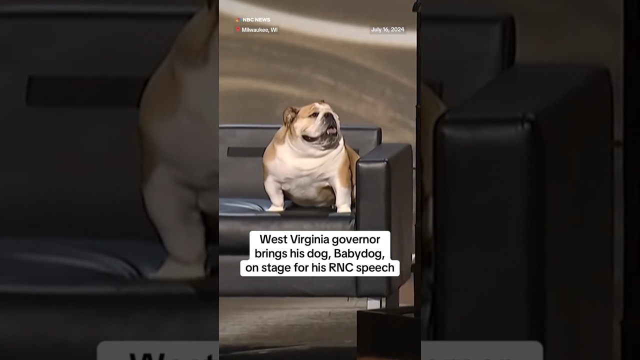 West Virginia governor brings his dog, Babydog, on stage for his RNC speech West Virginia governor brings his dog, Babydog, on stage for his RNC speech