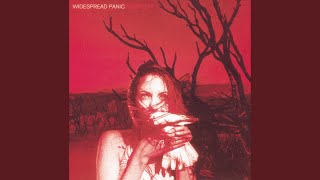 Video thumbnail of "Widespread Panic - Wondering"