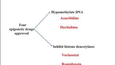 Epigenetic Therapies Presentation