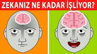 Zekanız Ne Kadar İşliyor? Cevaplarınız Karakterinizi Anlatıyor