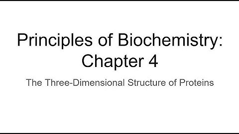 Biochem Ch. 4: 3D Structure of Proteins
