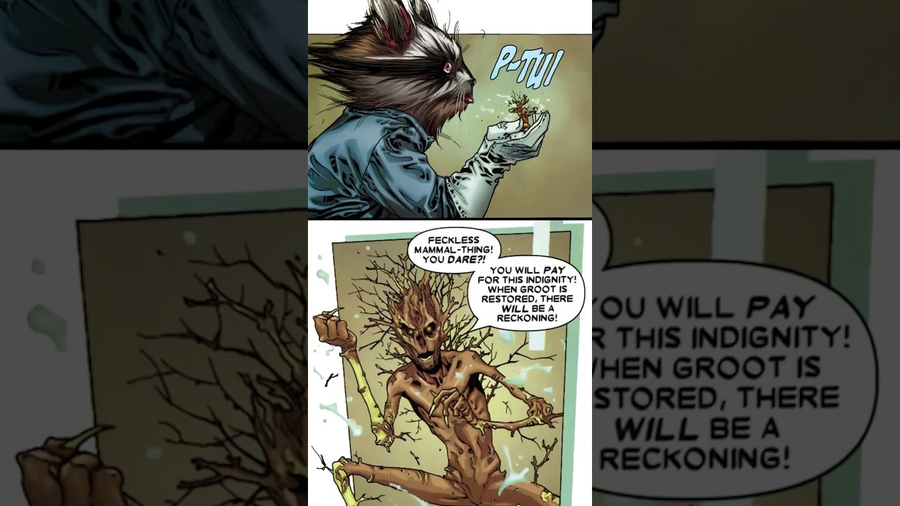 The Moment When Rocket and Groot First Met | 