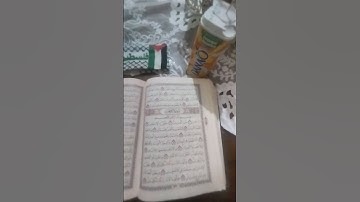 سورة الرحمان