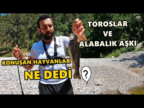 TOROS DAĞLARININ CENNET KÖŞESİNDE ALABALIK AVI ve KONUŞAN SEVİMLİ HAYVANLAR (Yengeç,Kaz,Kaplumbağa)