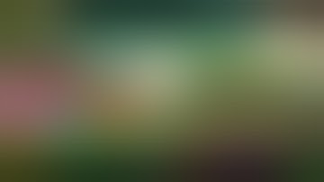 Plants vs Zombies 2 V9.8.1 pp.dat | New Plants Unlocked | Unlimited Gems, Coins, All Paid Plants